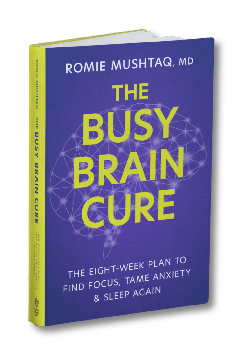 The Busy Brain Cure book cover