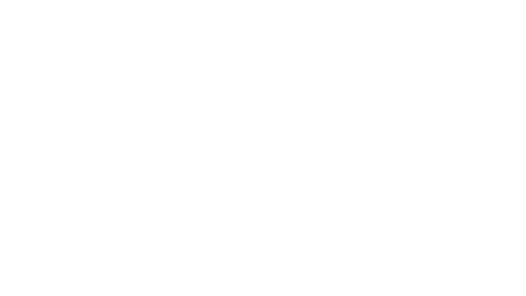 Delta Airlines logo white