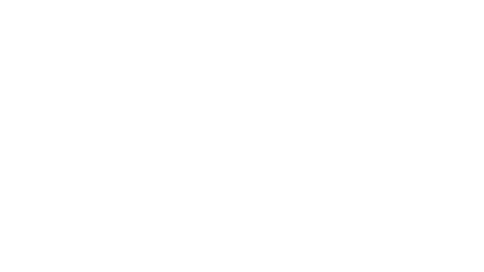 Delta Airlines logo white