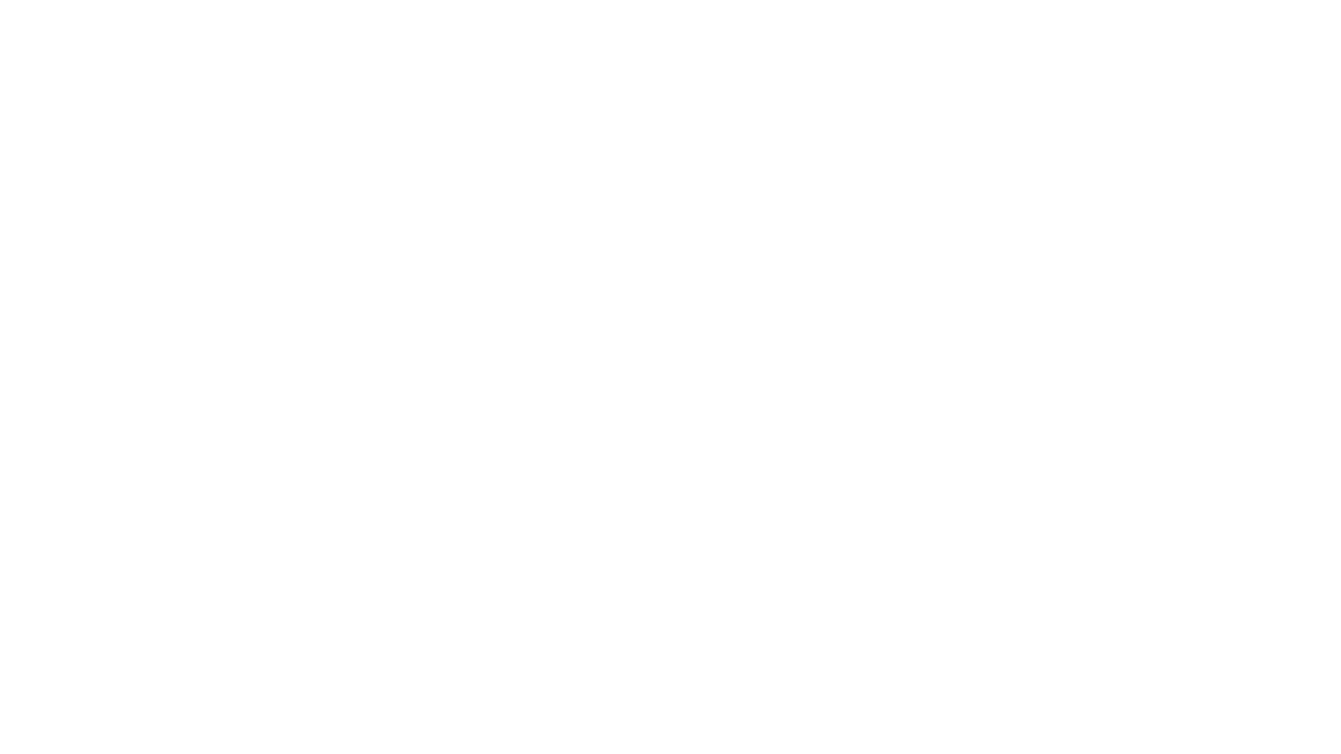 Google logo white