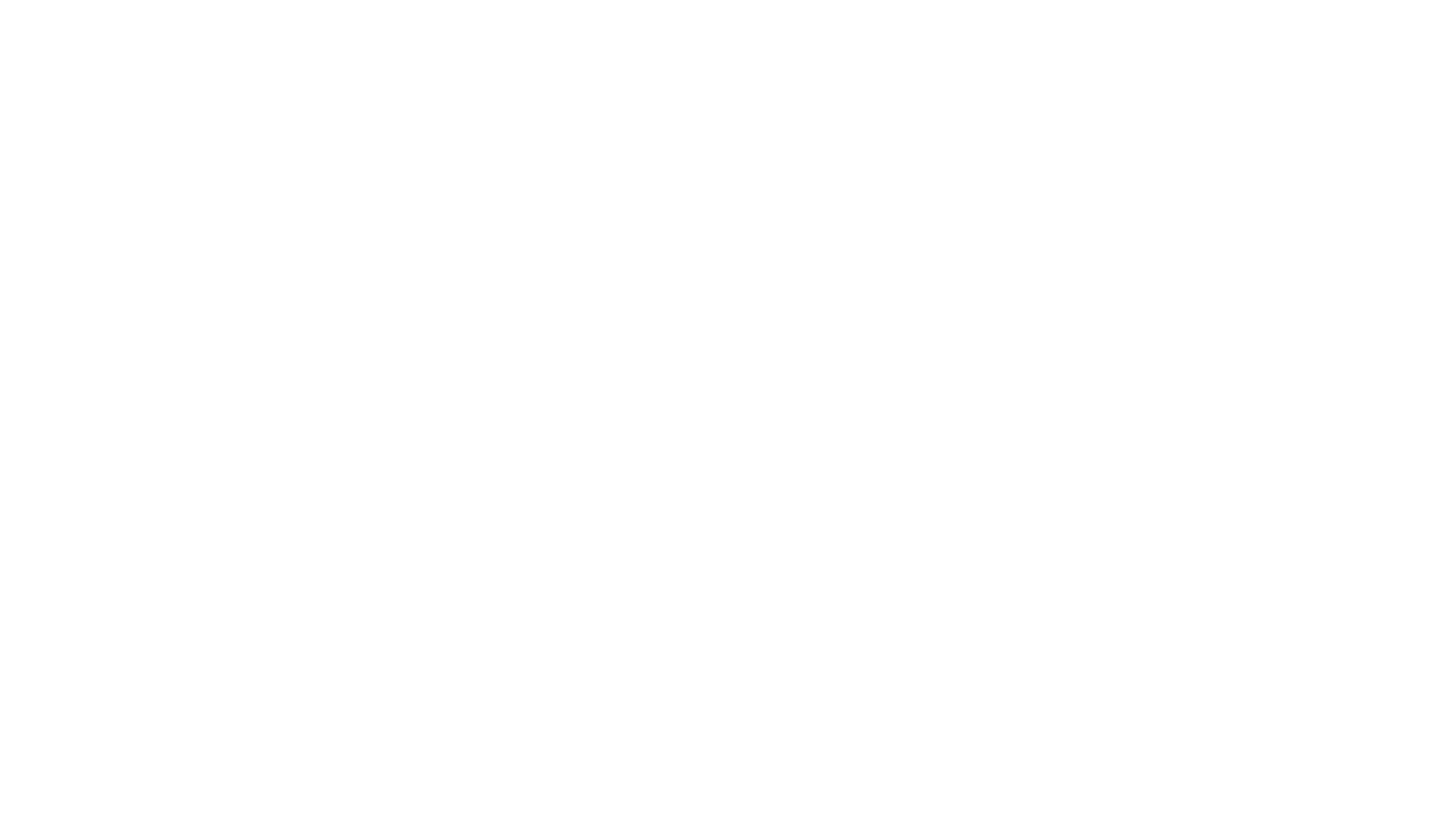 Lockhead Martin logo white