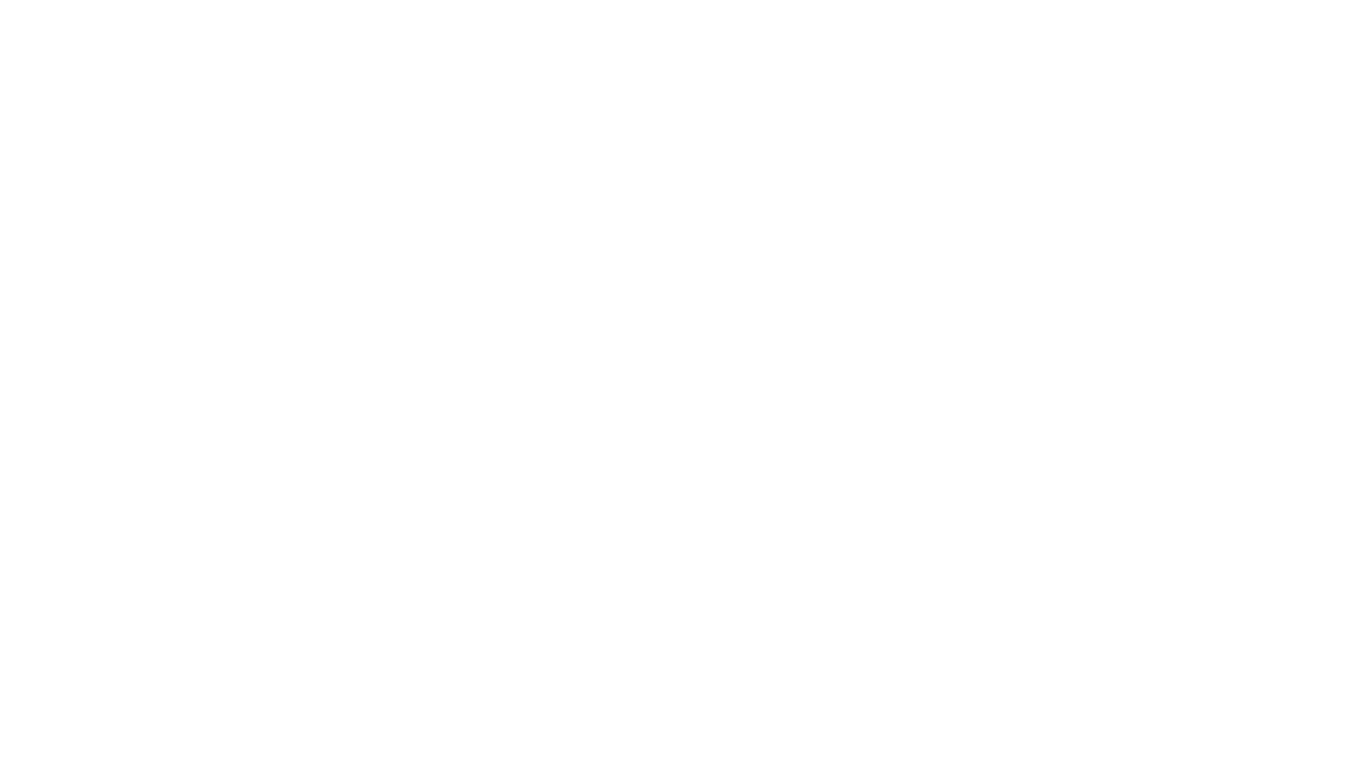 Capital One logo white