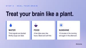 Treat your brain like a plant: water, food, and sunshine